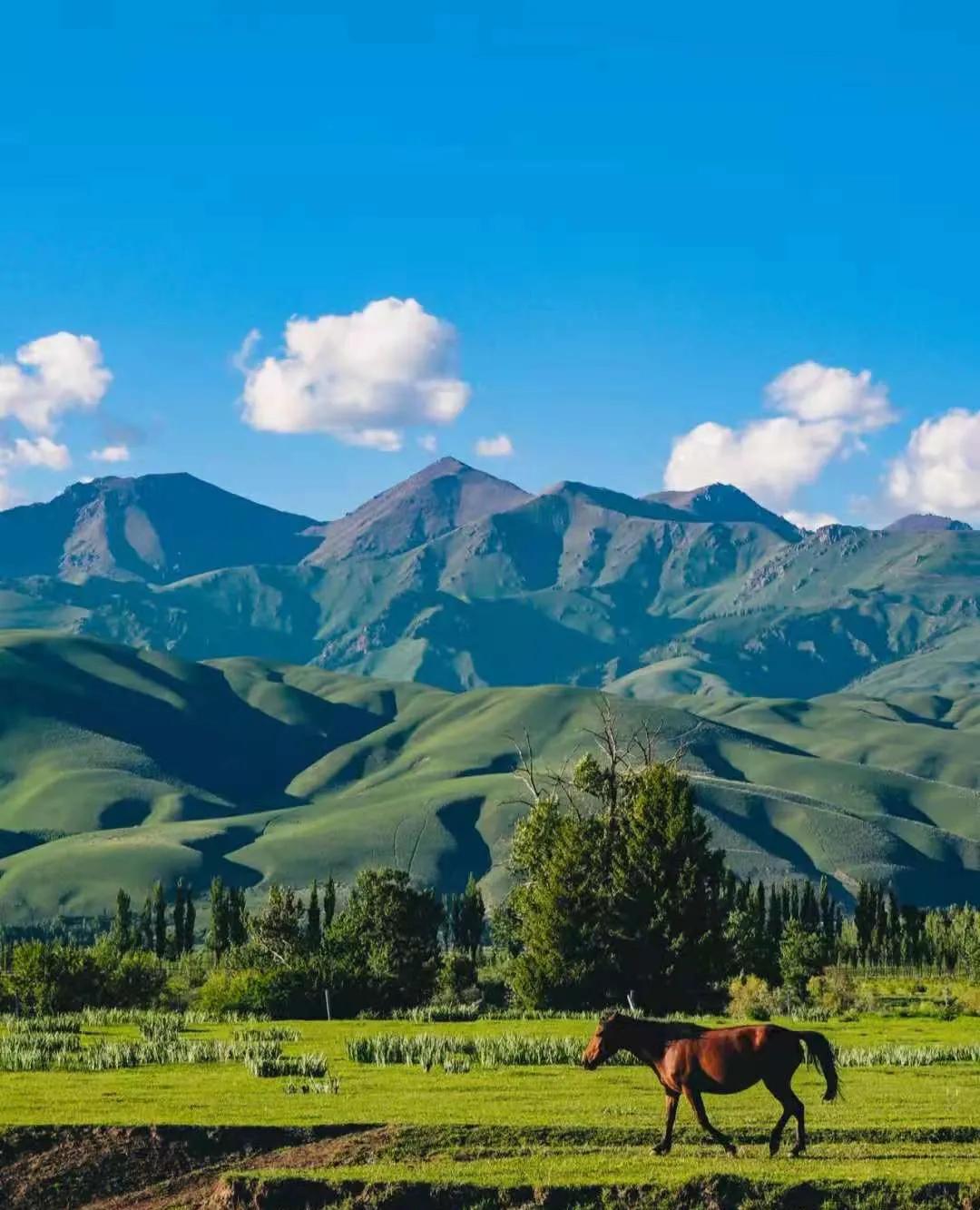 西域新疆，诗意之旅